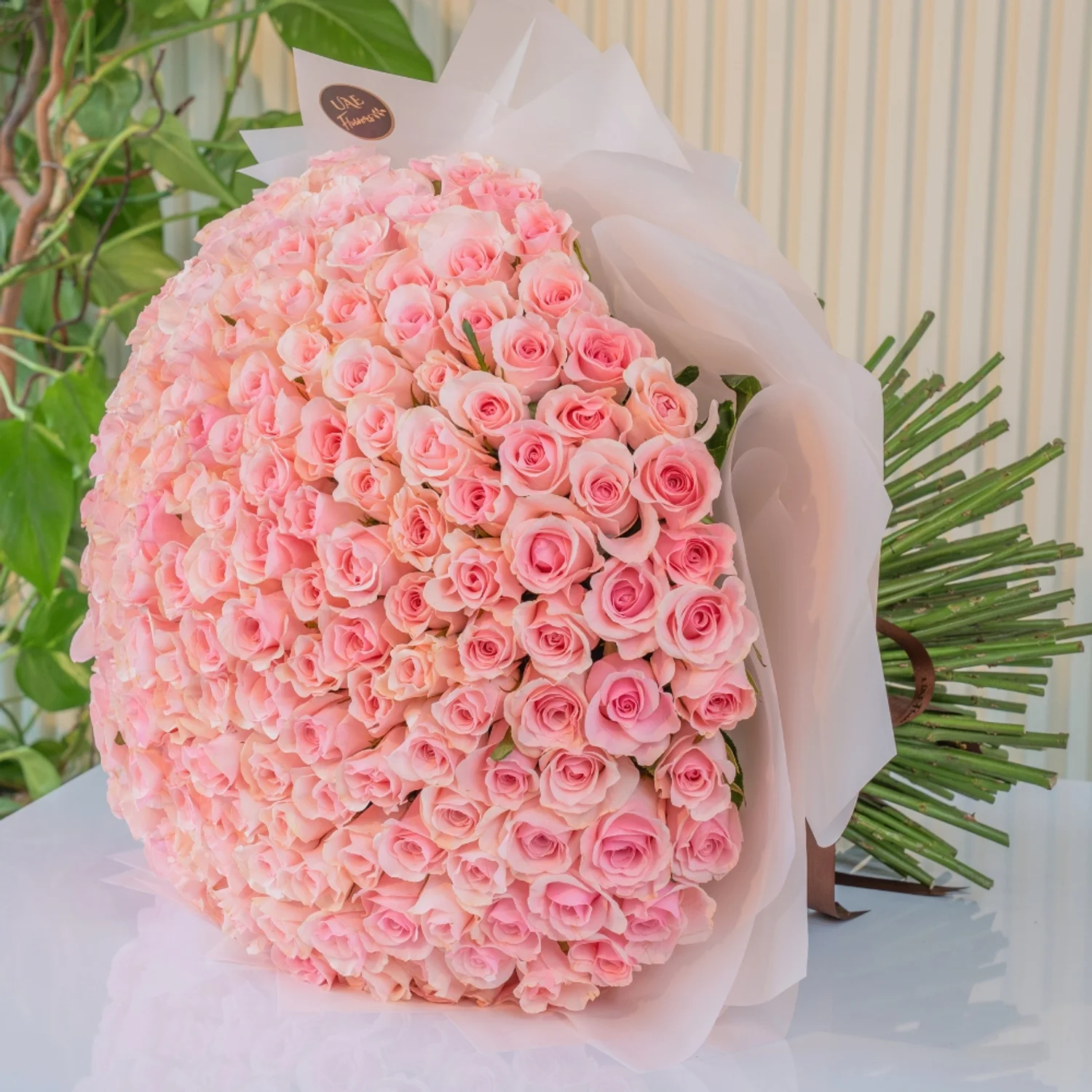 Luxurious bouquet of 200 handtied pink roses wrapped in white paper and tied with satin ribbon – elegant grand floral gift by UAE Flowers.