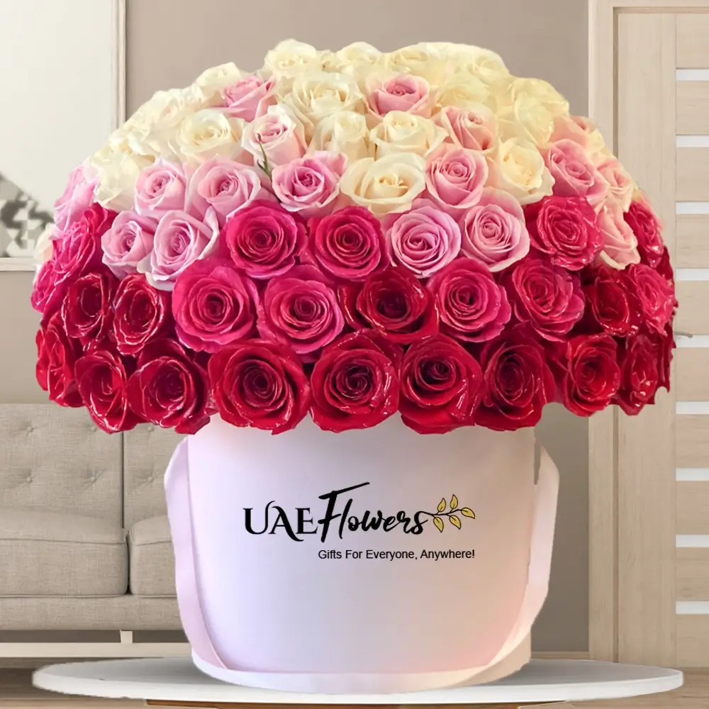 15 white roses, 15 red roses, 15 peach roses, and 15 pink roses are beautifully arranged in a round box