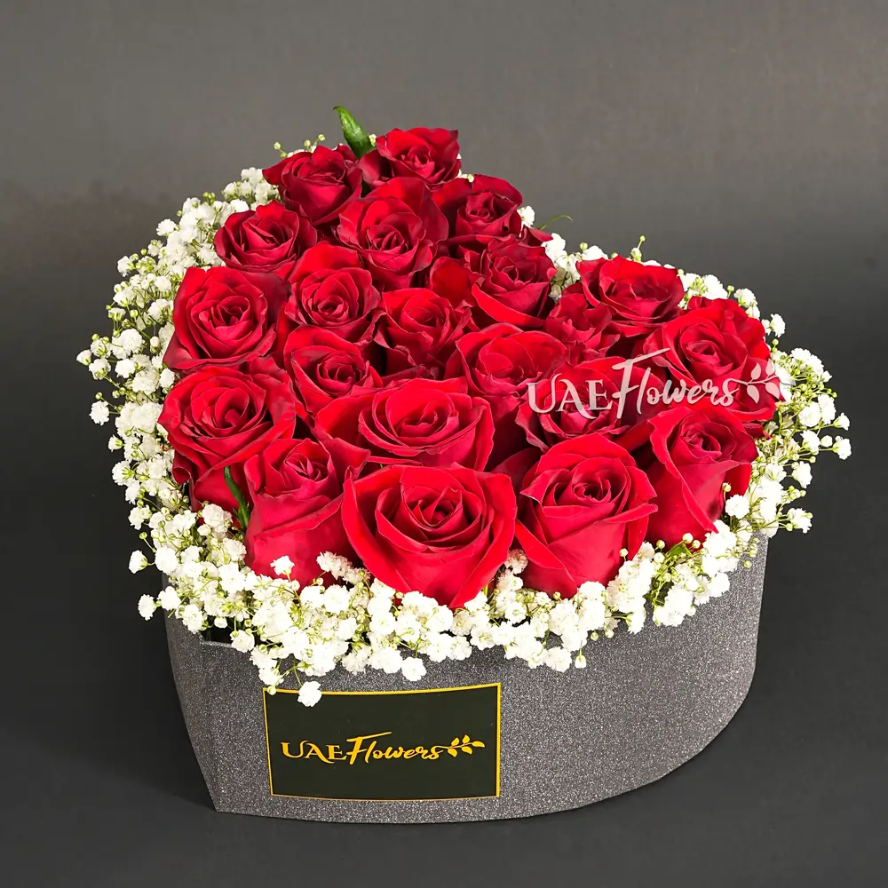 25 red roses with gypsophila in a black heart shape box