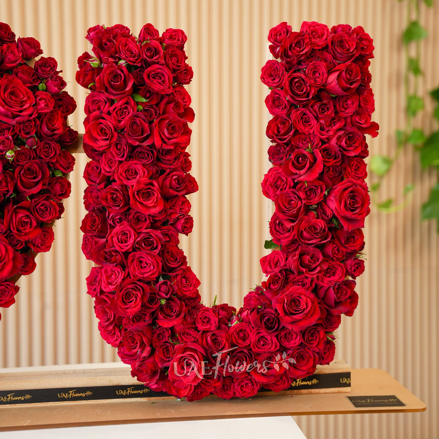 350 to 400 red spray rose buds arranged in an I Love You shape