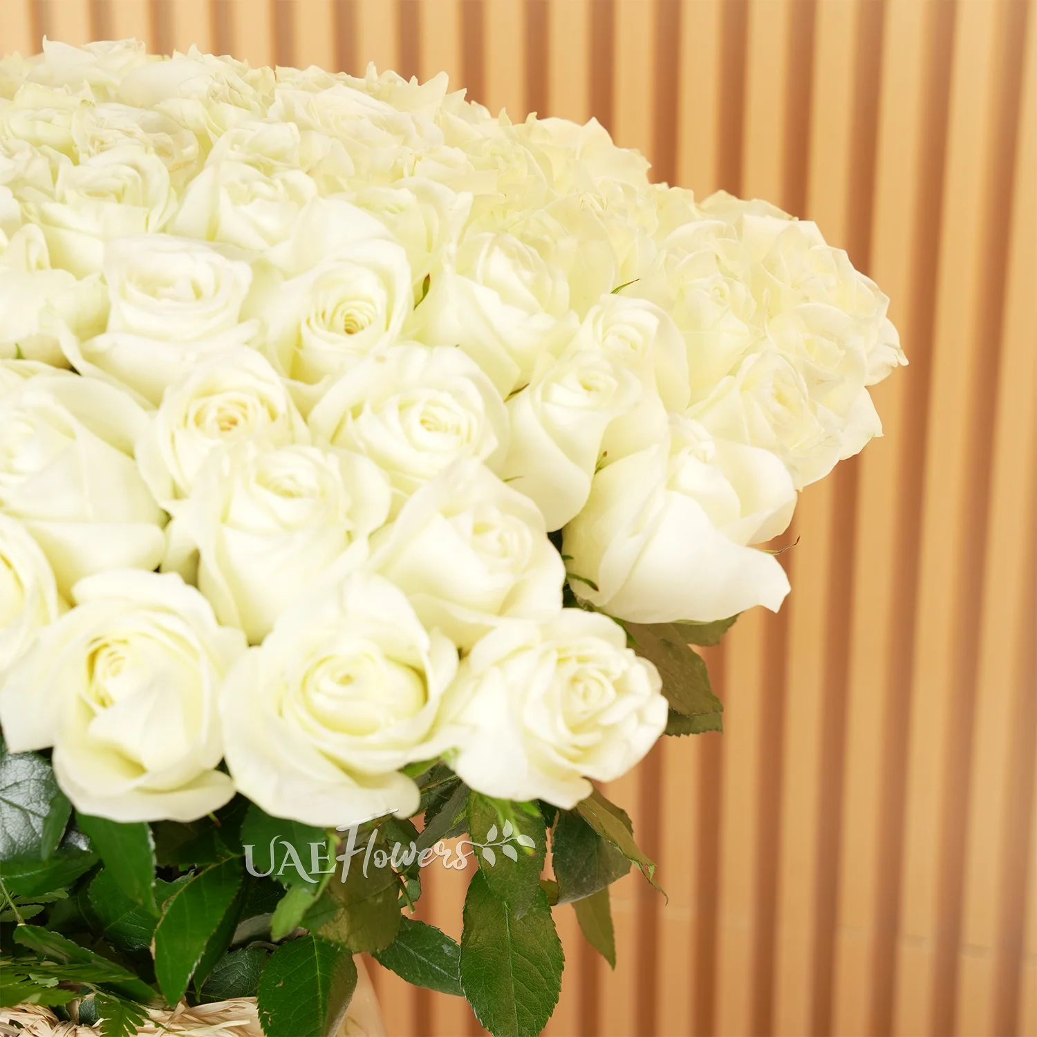 vase arrangement featuring 100 white roses with green fillers