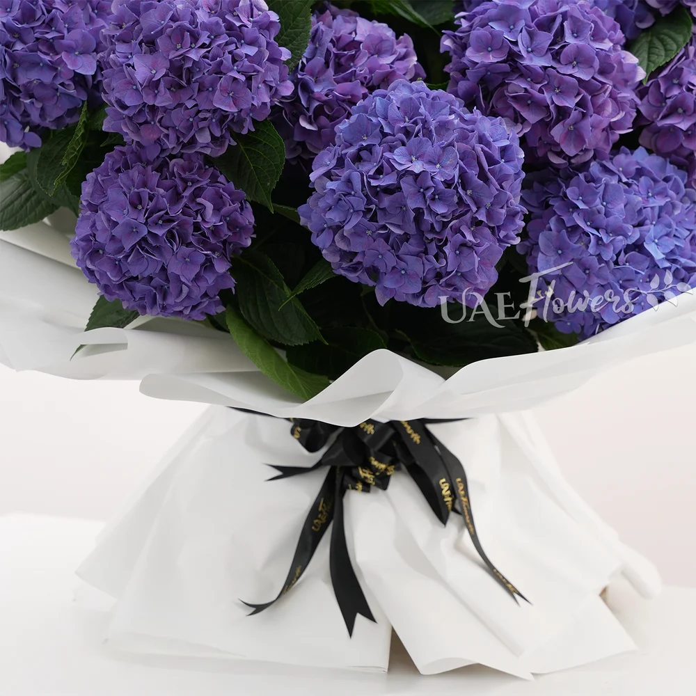 20 purple hydrangeas