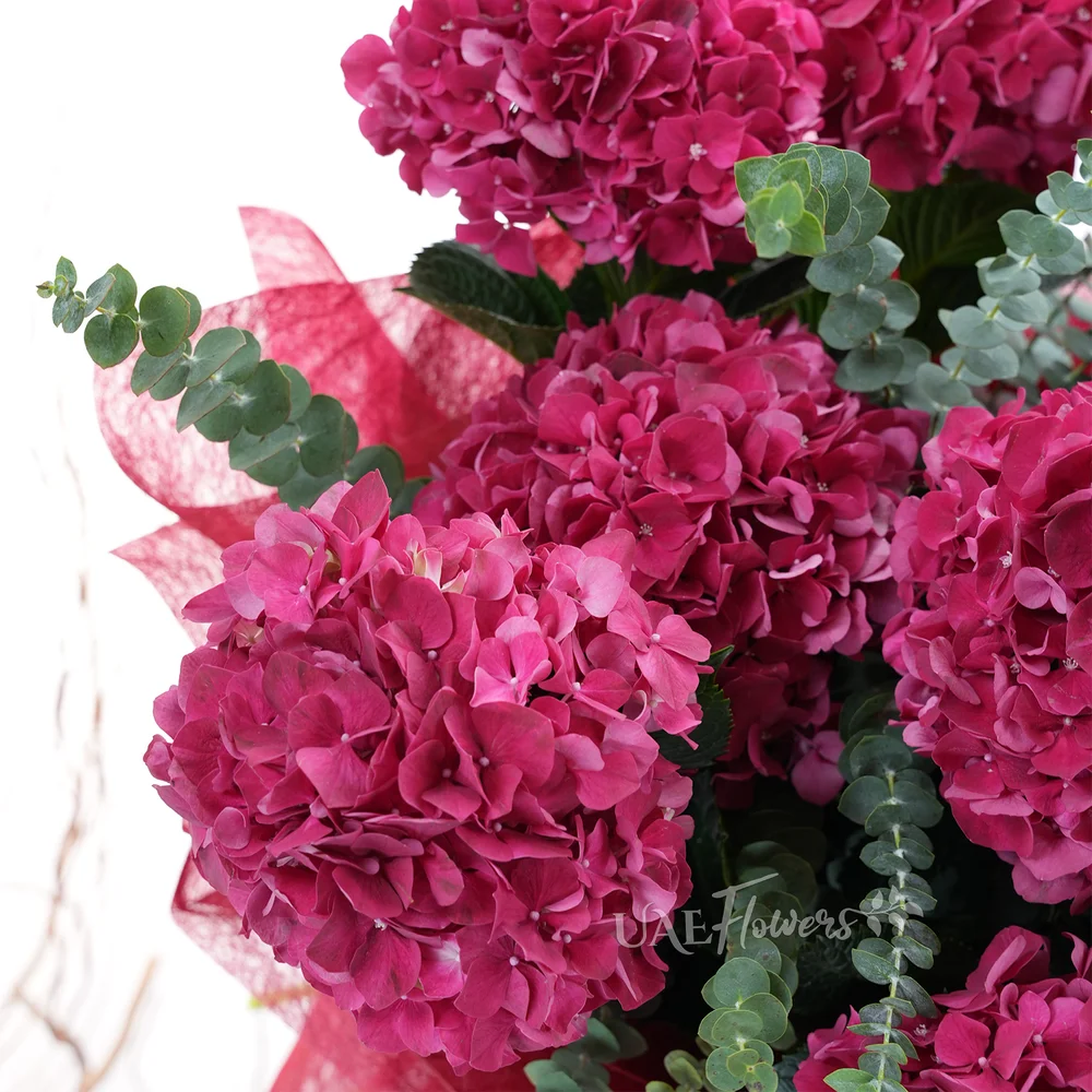 bouquet of 10 red hydrangeas with eucalyptus fillers