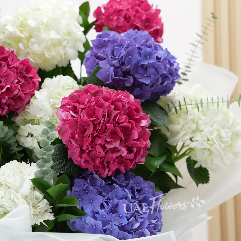 bouquet with red, white, and purple hydrangeas