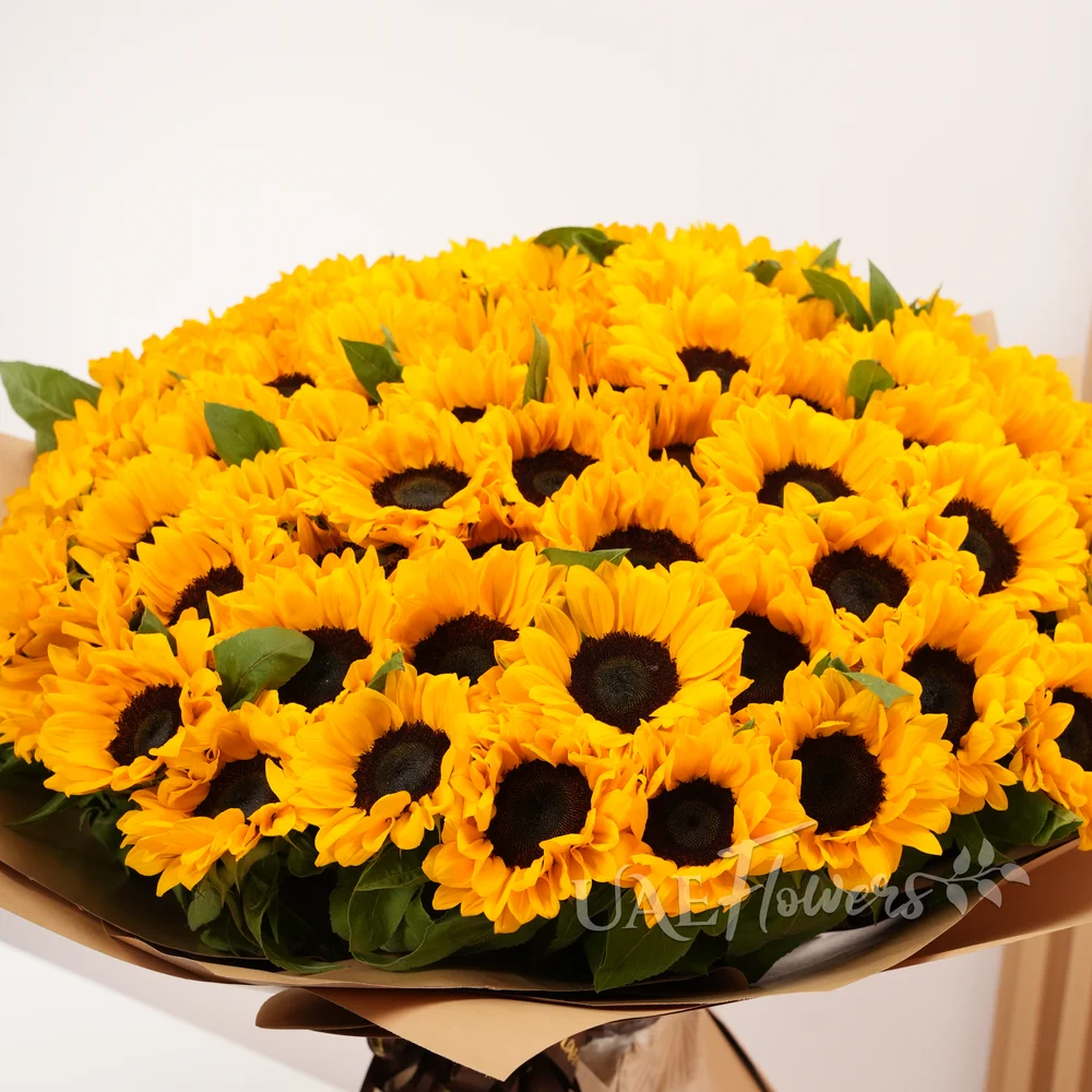 large bouquet of 50 sunflowers with fillers