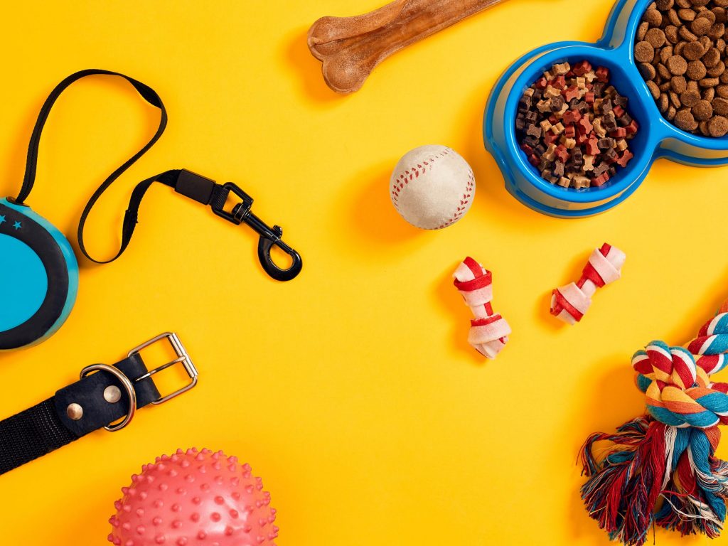 Pet Accessories on yellow background are the Unique Gifts Ideas for July Born