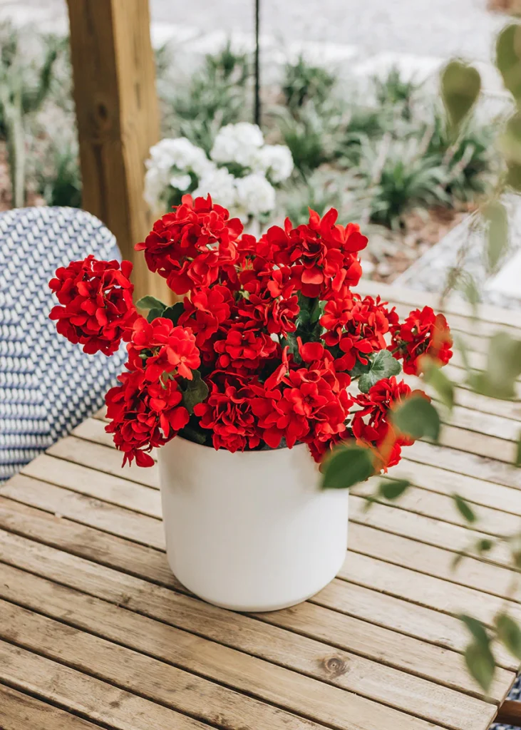 Most Romantic Flowers for Your Partner